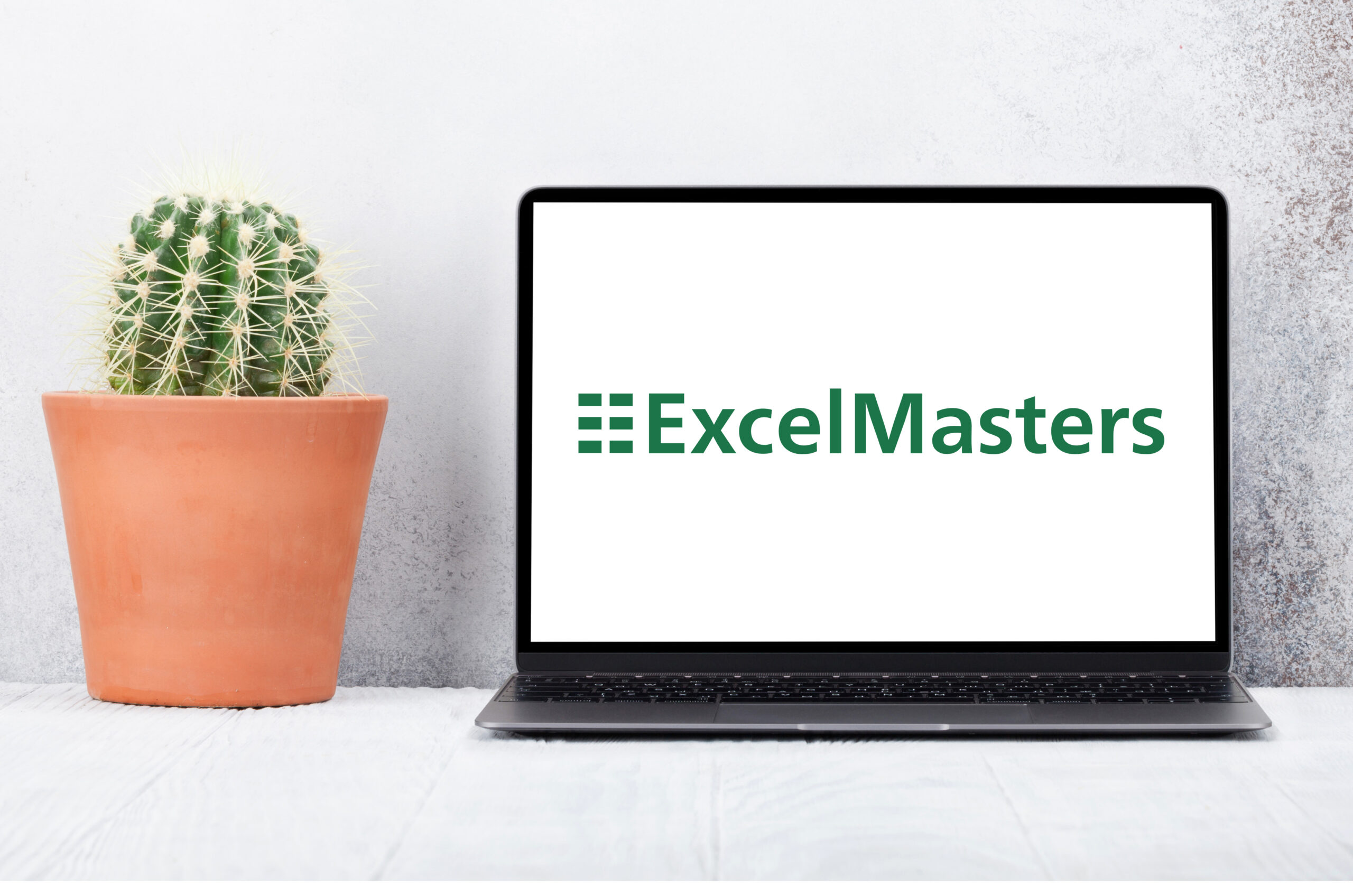 Laptop steht auf einem Tisch und zeigt das Logo von ExcelMasters